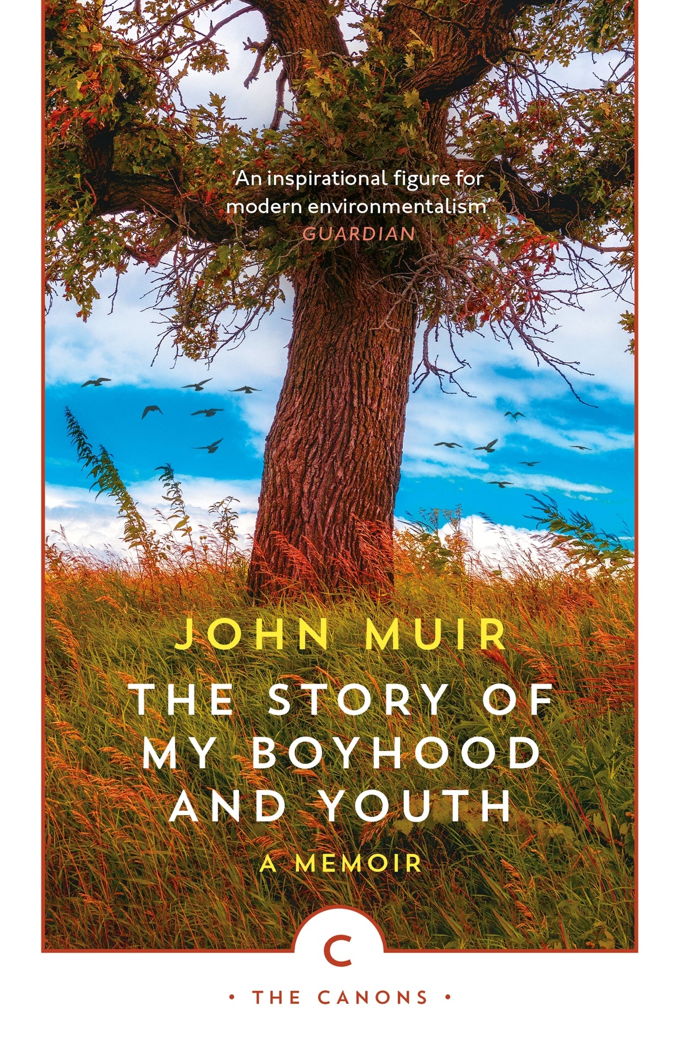 Cover image for The Story of My Boyhood and Youth ISBN 9781786899248
